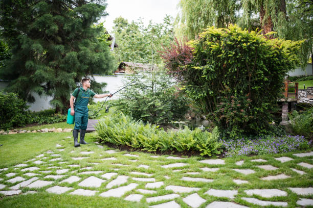 Best Pest Removal Services  in , IN