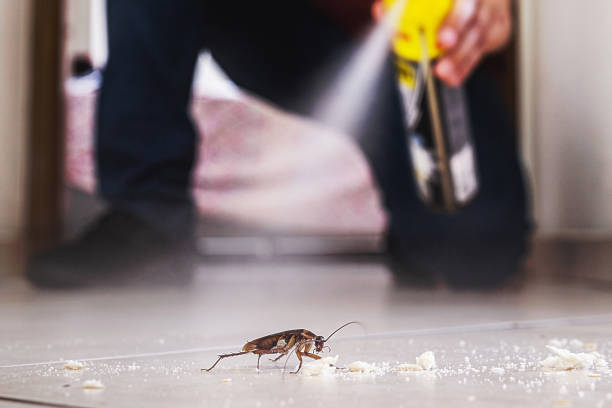 Best Affordable Pest Control Services  in , IN