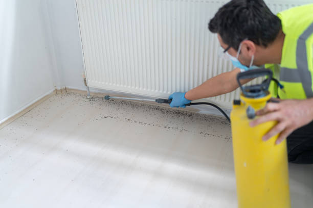 Best Termite Control Services  in , IN